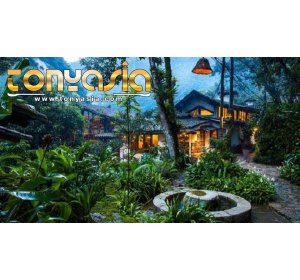 Hotel Di Tengah Hutan | Judi Online Indonesia